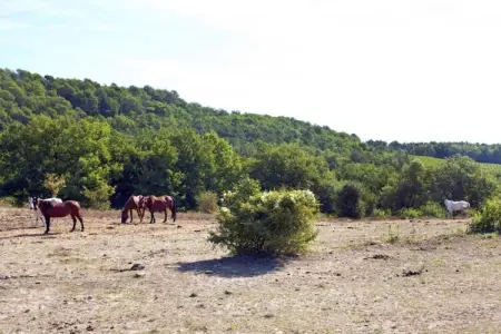 Domaine de Fayence 2, Belle villa avec lave-vaisselle, jacuzzi et golf à 1 km - Photo 31