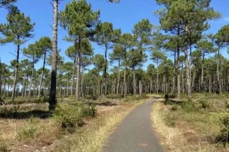 Villa Contempo 6 ex 5, Villa moderne près de la forêt à Montauroux - Photo 38