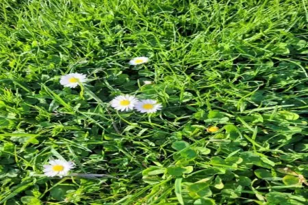 Villa Contempo 6 ex 5, Villa moderne près de la forêt à Montauroux - Photo 39