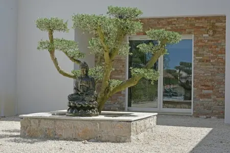 Villa Contempo 4, Villa moderne près de la forêt à Montauroux - Photo 5