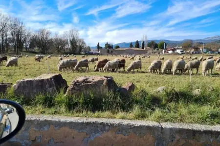 Villa Contempo 4, Villa moderne près de la forêt à Montauroux - Photo 35