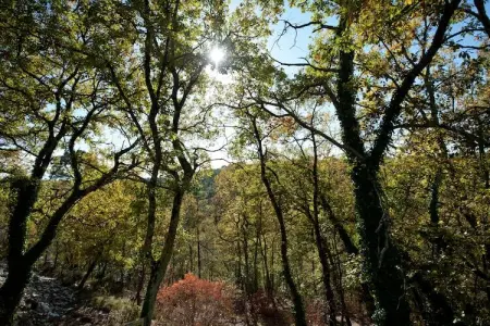 Mas du Puits, Villa de luxe avec jardin privatif en Provence - Photo 29