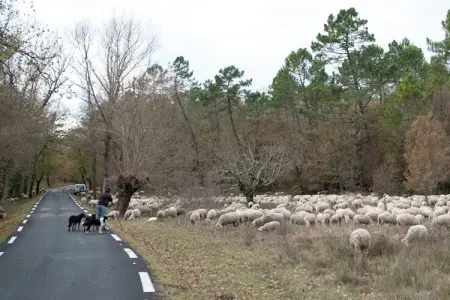 Mas du Puits, Villa de luxe avec jardin privatif en Provence - Photo 30