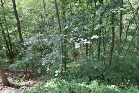 Mas du Puits, Villa de luxe avec jardin privatif en Provence - Photo 33