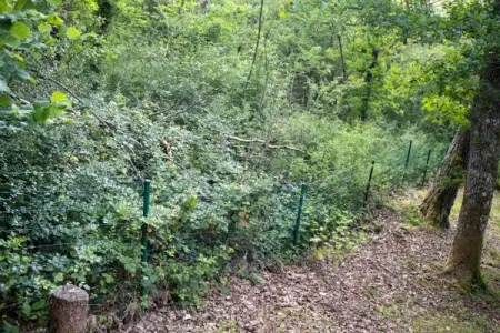 Mas du Puits, Villa de luxe avec jardin privatif en Provence - Photo 35