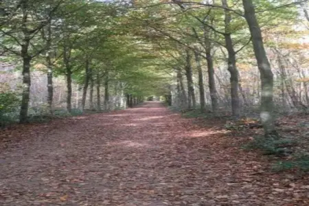 Mas du Puits, Villa de luxe avec jardin privatif en Provence - Photo 36