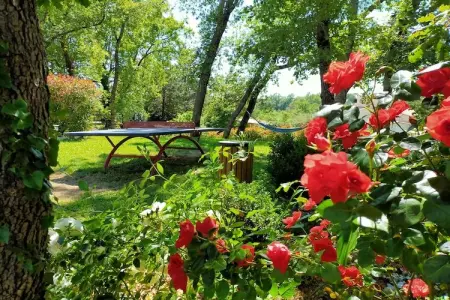 Villa Contem 4, Magnifique Villa à Montauroux ,France, avec piscine - Photo 24