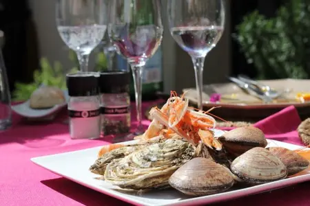 villa Maeva, Villa individuelle avec piscine privée et vue dégagée, près du village de Lorgues - Photo 23