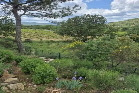villa Maeva, Villa individuelle avec piscine privée et vue dégagée, près du village de Lorgues - Photo 36
