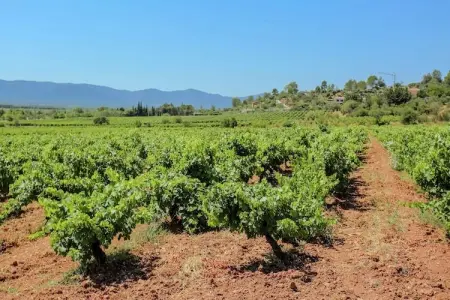 Villa Vida, Confortable villa avec piscine privée, 30km de la côte d'Azur - Photo 18