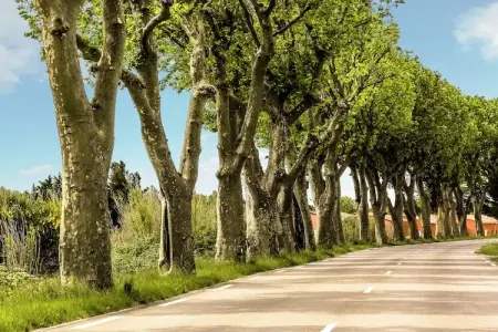 Villa Vida, Confortable villa avec piscine privée, 30km de la côte d'Azur - Photo 20