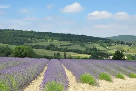 Villa Vida, Confortable villa avec piscine privée, 30km de la côte d'Azur - Photo 28