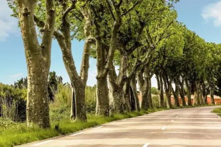 Villa Vida, Confortable villa avec piscine privée, 30km de la côte d'Azur - Photo 29