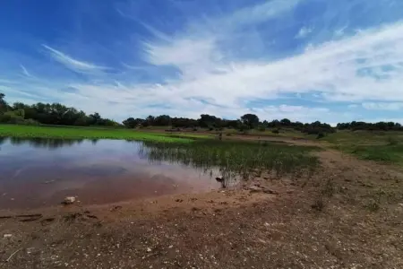 Villa Vida, Confortable villa avec piscine privée, 30km de la côte d'Azur - Photo 35