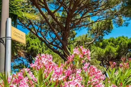 Lavande, Maison de vacances confortable à Gassin avec terrasse - Photo 23