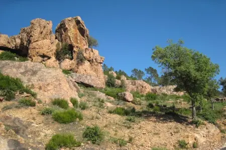 Mas du Pairois, Magnifique villa à Bagnols-en-Forêt avec piscine - Photo 31