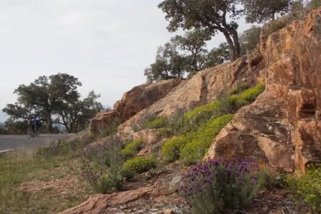 Mas du Pairois, Magnifique villa à Bagnols-en-Forêt avec piscine - Photo 33