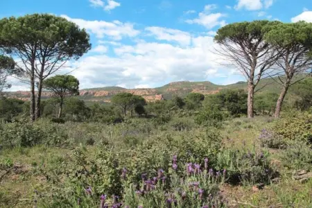Mas du Pairois, Magnifique villa à Bagnols-en-Forêt avec piscine - Photo 34
