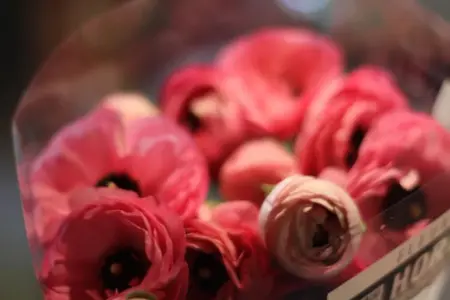 Villa le Mareret, Villa de luxe aux Adrets-de-l'Estérel avec piscine - Photo 39
