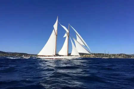 Villa Saint Tropez, Villa de charme à Saint-Tropez, France, avec piscine privée - Photo 34