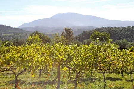 Grande Maison, Belle demeure avec piscine à Vaison-la-Romaine - Photo 27