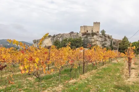 Petite maison, Maison de vacances confortable et piscine privée en Provence - Photo 34