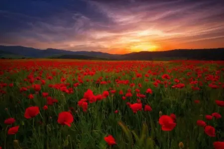La Bastide des Chênes 1, Appartement avec climatisation, à 3 km du centre de Gordes - Photo 22