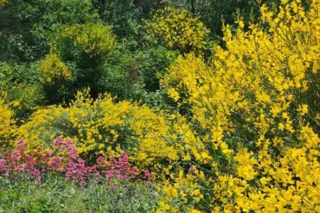 La Bastide des Chênes 1, Appartement avec climatisation, à 3 km du centre de Gordes - Photo 27