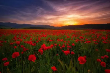 La Bastide des Chênes 2, Maison de vacances climatisation, à 3 km du centre de Gordes - Photo 24