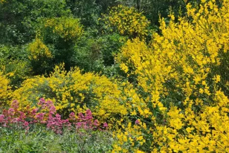 La Bastide des Chênes 2, Maison de vacances climatisation, à 3 km du centre de Gordes - Photo 29
