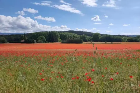 La Bastide des Chênes 2, Maison de vacances climatisation, à 3 km du centre de Gordes - Photo 30