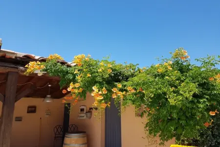 villa Fourniguières, Villa moderne à Saint-Pierre-de-Vassols avec piscine privée - Photo 35