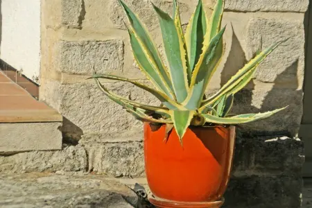 Crillon le Brave, Villa spacieuse à Crillon-le-Brave, animaux bienvenus - Photo 37