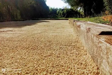 La Valmasque, Maison de style avec piscine chauffée et clim à Lacoste - Photo 34