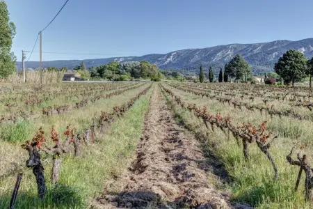 Le Tilleul, Spacieux Cottage à Oppede avec piscine - Photo 19