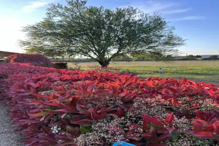 Mas Opideum, Jolie villa avec piscine privée à Oppède - Photo 36
