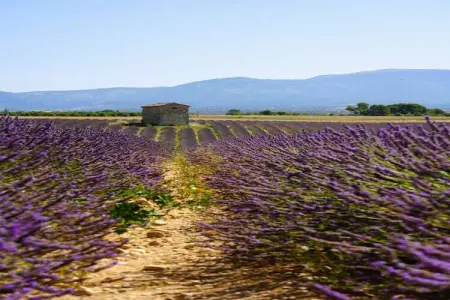 Mas Opideum, Jolie villa avec piscine privée à Oppède - Photo 39