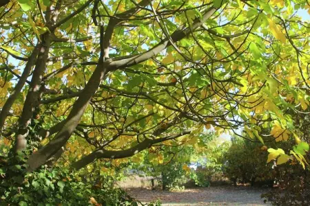 Amélie, Demeure avec piscine en Provence, en France - Photo 20