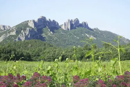 Amélie, Demeure avec piscine en Provence, en France - Photo 22