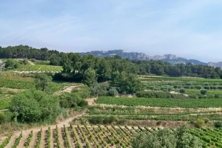 Amélie, Demeure avec piscine en Provence, en France - Photo 24