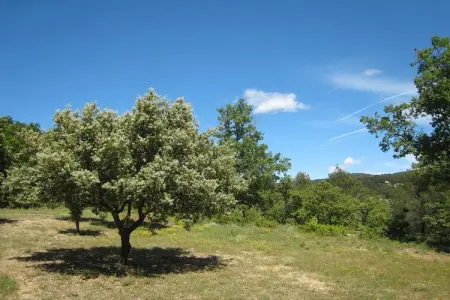 La Bastide Clémentine, Villa moderne avec piscine à L'Isle-sur-la-Sorgue - Photo 21