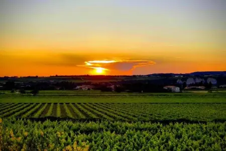 Entre Luberon et Avignon, Spacieuse maison de vacances en Provence avec piscine privée - Photo 34