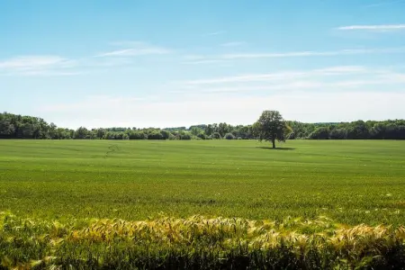 La Tour, Maison de vacances confortable avec piscine privée, Loire - Photo 26