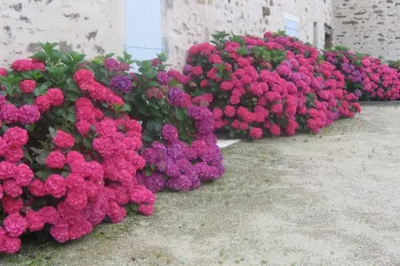 La Tour, Maison de vacances confortable avec piscine privée, Loire - Photo 30