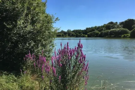 La Tour, Maison de vacances confortable avec piscine privée, Loire - Photo 35
