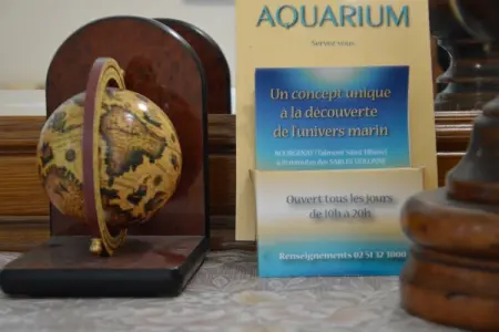 TALMONT-ST HILAIRE, Maison de vacances au calme en bord de mer dans la Loire - Photo 31