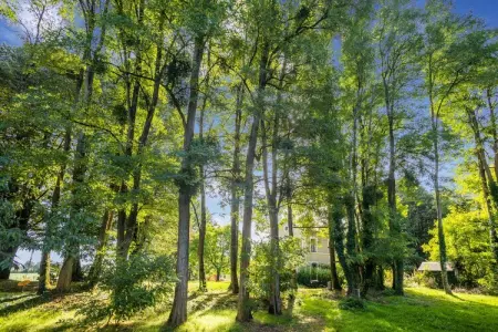 Station Liglet, Demeure rustique à Liglet France avec piscine - Photo 5