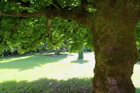 Gite La Forge de Bessous, Charmant cottage avec jardin à Ladignac-le-Long - Photo 23