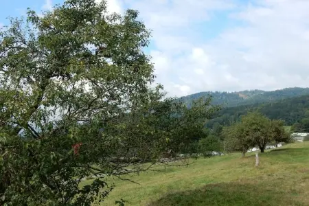 Genevieve 1, Charmante maison de vacances à Vagney près des pistes de ski - Photo 16