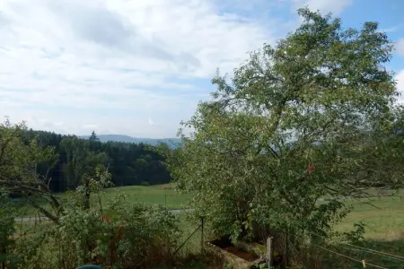 Genevieve 1, Charmante maison de vacances à Vagney près des pistes de ski - Photo 21